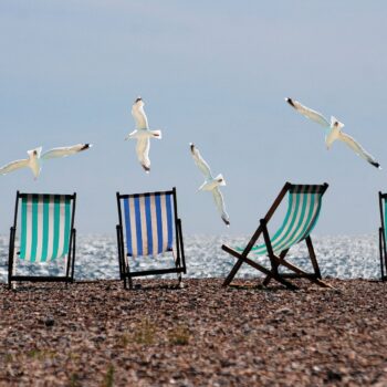 Strand mit Liegestühlen und fliegenden Möwen